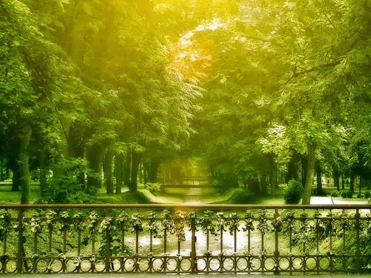 Bridge of love, Serbia