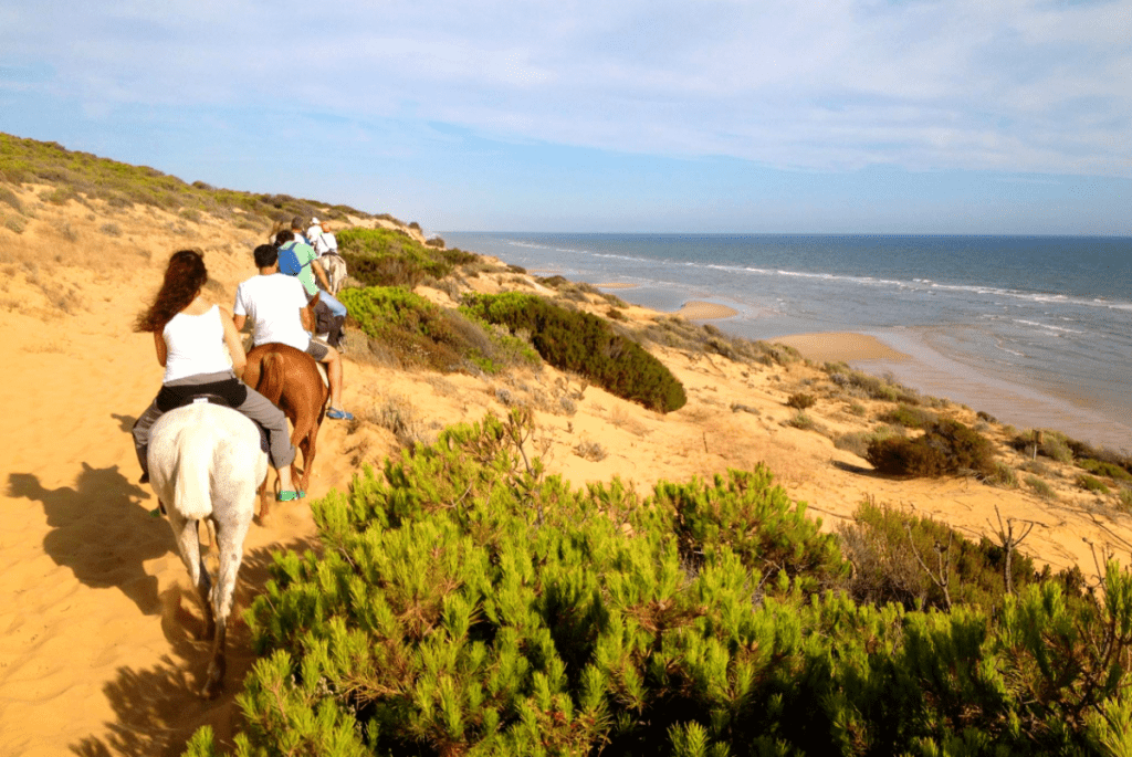 Donana Dunes, Huelvas