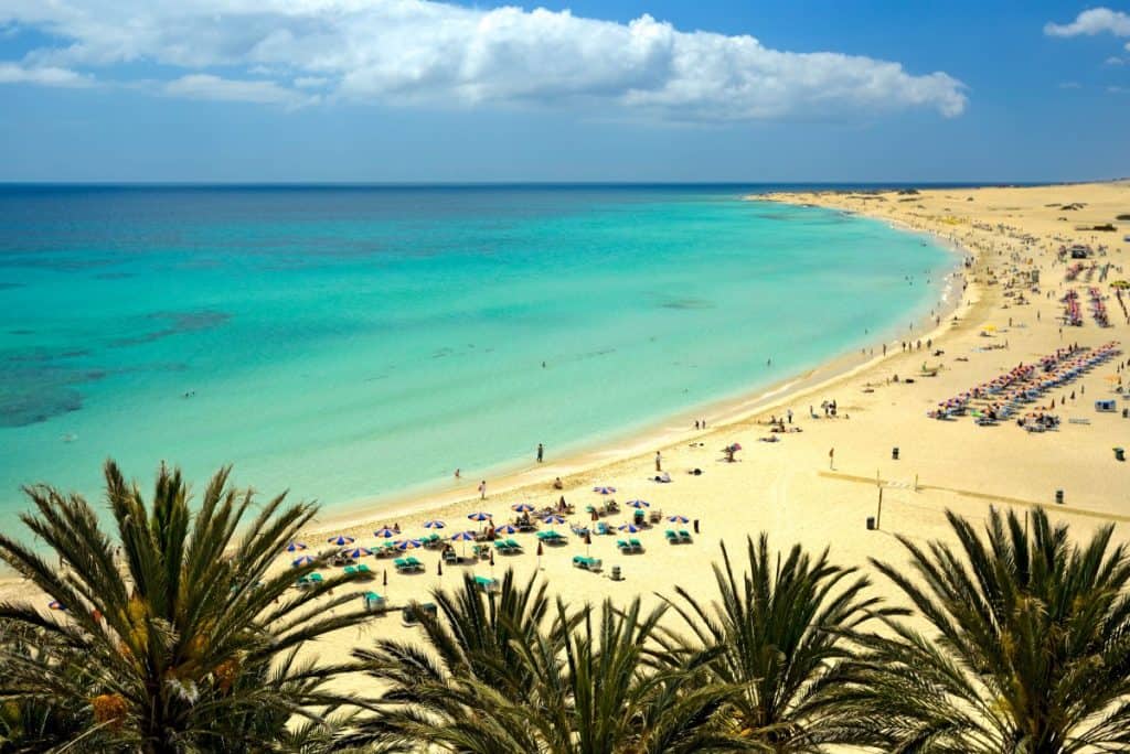 Fuerteventura, Tenerife, Canary Islands